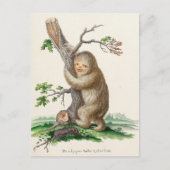 Bizarre Vintage Sloth Illustration Briefkaart (Voorkant)
