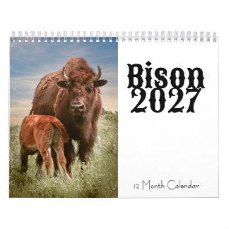 Bizon 2027 12 Maanden Kalender