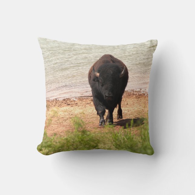 Bizon aan het water kussen (Voorkant)