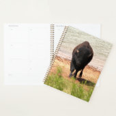 Bizon aan het water planner (Display)