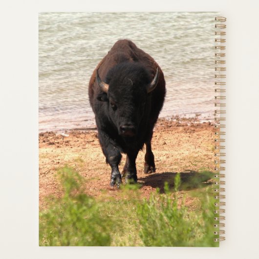 Bizon aan het water planner (Achterkant)