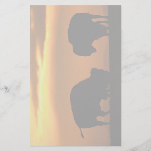 bizon briefpapier (Voorkant)