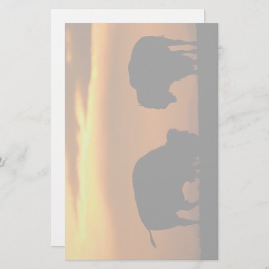 bizon briefpapier (Voorkant / Achterkant)