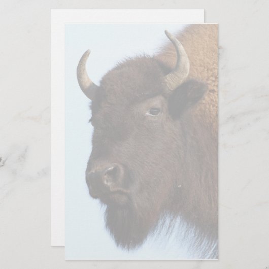 bizon briefpapier (Voorkant / Achterkant)