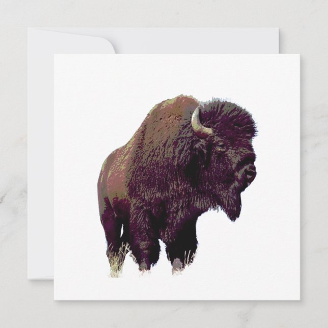 Bizon Buffalo  (Voorkant)
