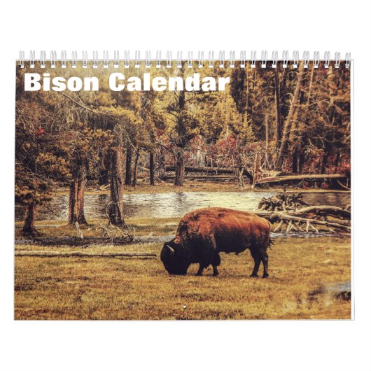Bizon Buffalo 2027 Kalender (Hoes)