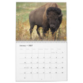 Bizon Buffalo 2027 Kalender (Jan 2027)