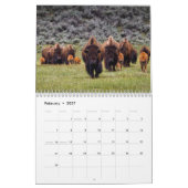 Bizon Buffalo 2027 Kalender (Feb 2027)