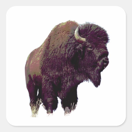 Bizon Buffalo Kaart Vierkante Sticker (Voorkant)