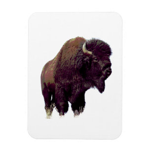 Bizon Buffalo Magneet