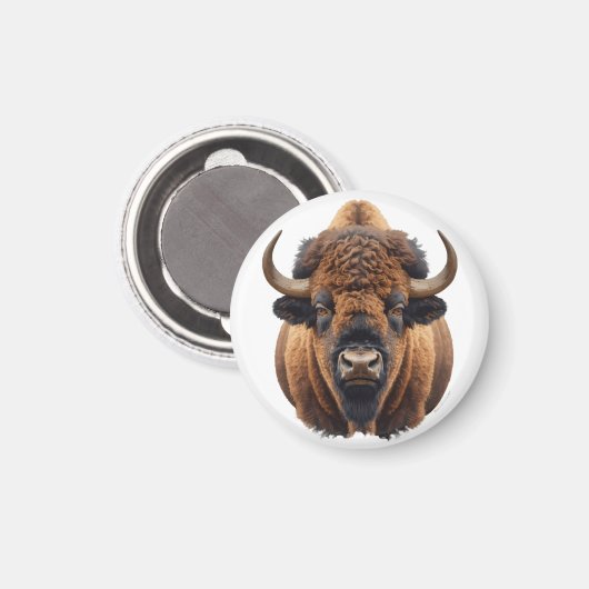 Bizon / Buffel Magneet (Voorkant / Achterkant)