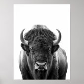 Bizon Buffel Modern Portret zwart wit Poster (Voorkant)