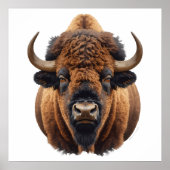 Bizon / Buffel Poster (Voorkant)