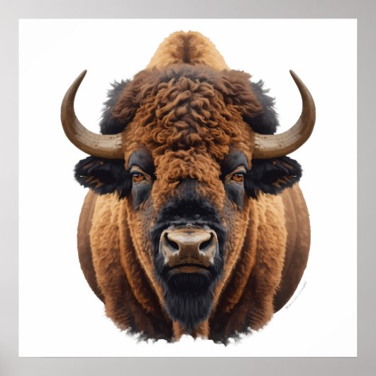 Bizon / Buffel Poster (Voorkant)