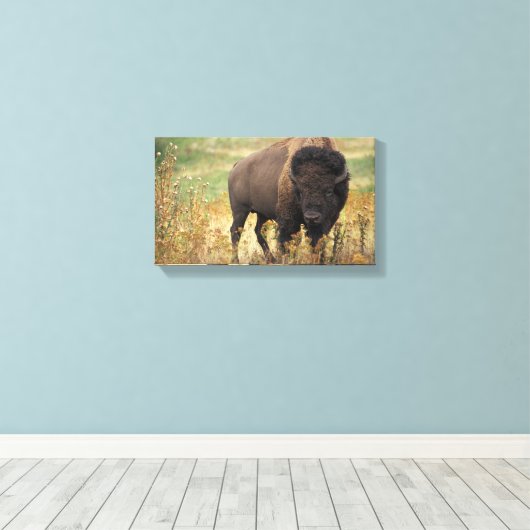 Bizon foto canvas afdruk (Insitu (Houten vloer))