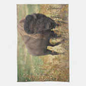 Bizon foto theedoek (Verticaal)