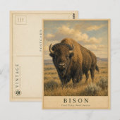 Bizon Great Plains VINTAGE Briefkaart (Voorkant / Achterkant)