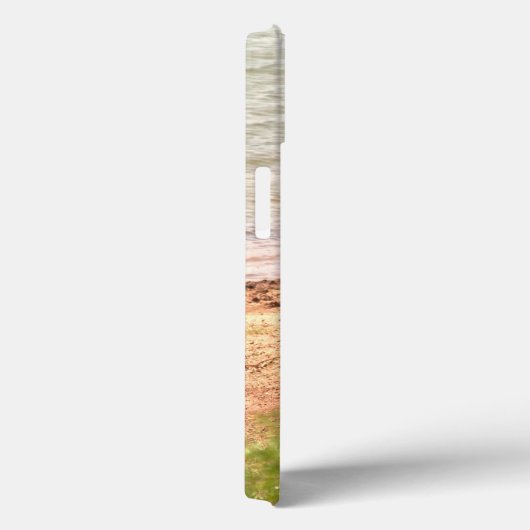 Bizon in de waterhoesjes van de iPhone Case-Mate iPhone Case (Achterkant / Rechts)