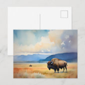 Bizon in de wei briefkaart (Voorkant / Achterkant)