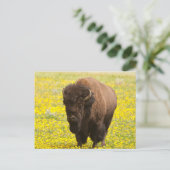 Bizon in geel briefkaart (Staand voorkant)