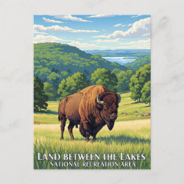 Bizon in het land tussen de meren van Kentucky Briefkaart