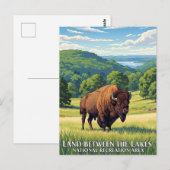 Bizon in het land tussen de meren van Kentucky Briefkaart (Voorkant / Achterkant)