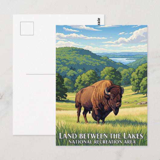 Bizon in het land tussen de meren van Kentucky Briefkaart (Voorkant / Achterkant)