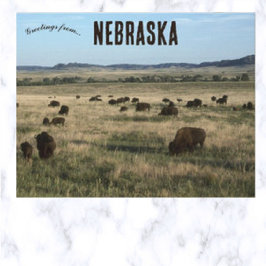 Bizon in Nebraska Briefkaart