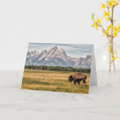 Bizon in Tetons Kaart (Gele Bloem)