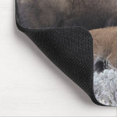 Bizon met kalf, Yellowstone Muismat (Hoek)