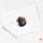 Bizon schilderij ronde sticker (Envelop)