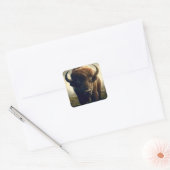 Bizon schilderij vierkante sticker (Envelop)