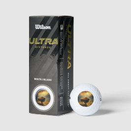 Bizon Silhouet Bij Zonsondergang Golfballen