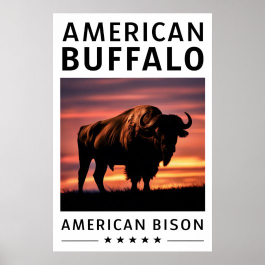 Bizon Silhouet bij zonsondergang Poster (Voorkant)