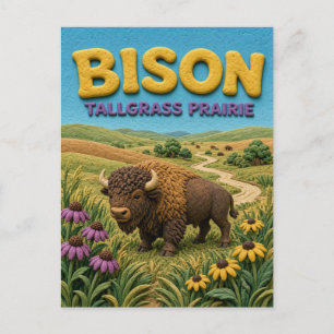 Bizon Tallgrass Prairie Moderne KlayKoo Briefkaart