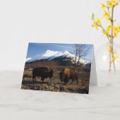 Bizon tet-a-Tet Kaart (Gele Bloem)