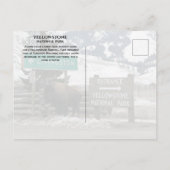 Bizon, Yellowstone-ingang, Gardiner, MT Briefkaart (Achterkant)