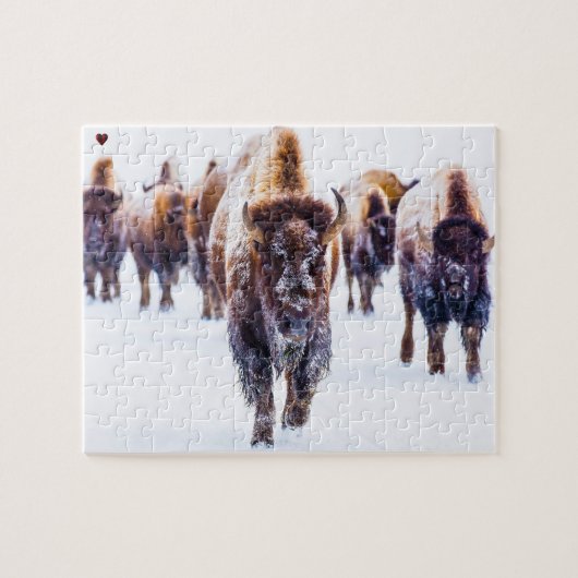 Bizon Yellowstone Wyoming Legpuzzel (Horizontaal)
