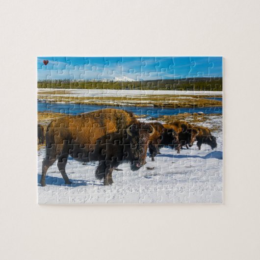 Bizon Yellowstone Wyoming Legpuzzel (Horizontaal)