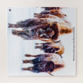 Bizon Yellowstone Wyoming Legpuzzel (Horizontaal)