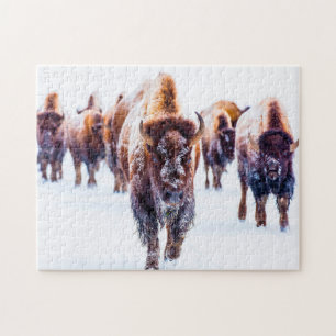 Bizon Yellowstone Wyoming. Legpuzzel