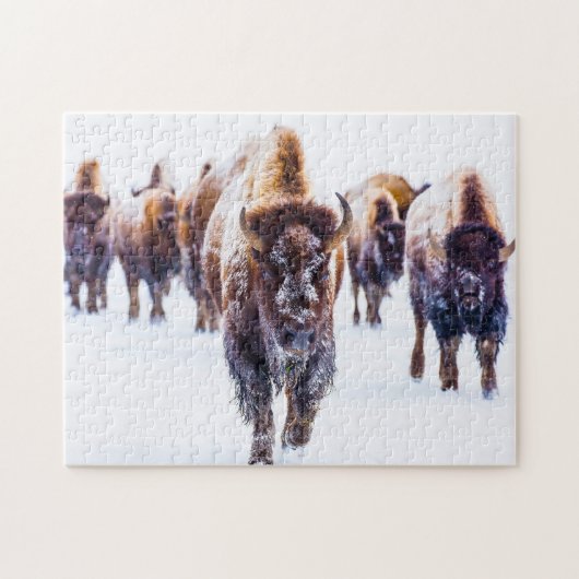 Bizon Yellowstone Wyoming. Legpuzzel (Horizontaal)