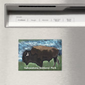 Bizon zwerven door Yellowstone National Park Magneet (Insitu (Vaatwasser))