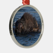 bizondzwemmen metalen ornament (Rechts)