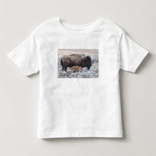 Bizonkoe en kalf, Yellowstone Kinder Shirts (Voorkant)