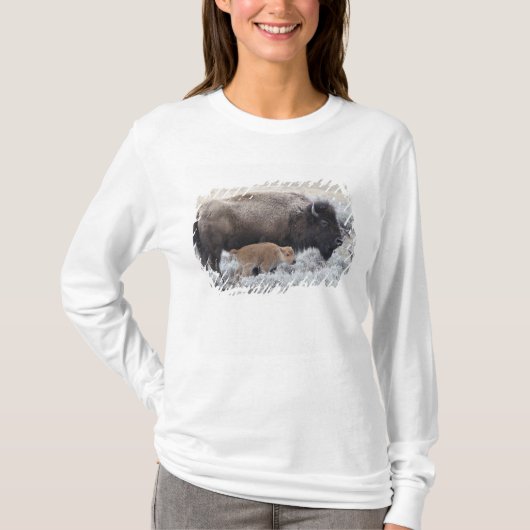 Bizonkoe en kalf, Yellowstone T-shirt (Voorkant)