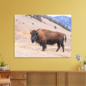 Bizons Amerikaanse Wilde Natuur Canvas Afdruk (Insitu (Woonkamer))