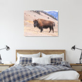 Bizons Amerikaanse Wilde Natuur Canvas Afdruk (Insitu (Slaapkamer))