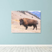 Bizons Amerikaanse Wilde Natuur Canvas Afdruk (Insitu (Houten vloer))