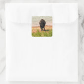 Bizons bij het water vierkante sticker (Tas)